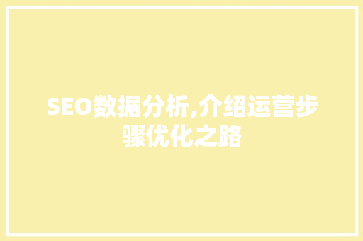 SEO数据分析,介绍运营步骤优化之路