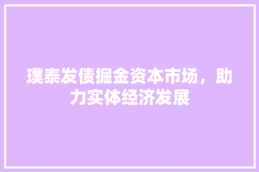 璞泰发债掘金资本市场，助力实体经济发展